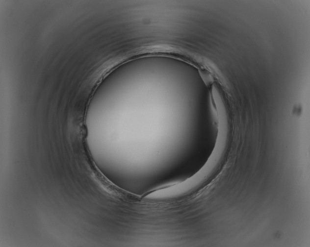 X0000091991225200710041123