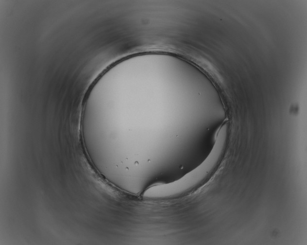 X0000091991228200710041123