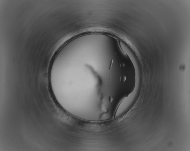 X0000091991229200710041123