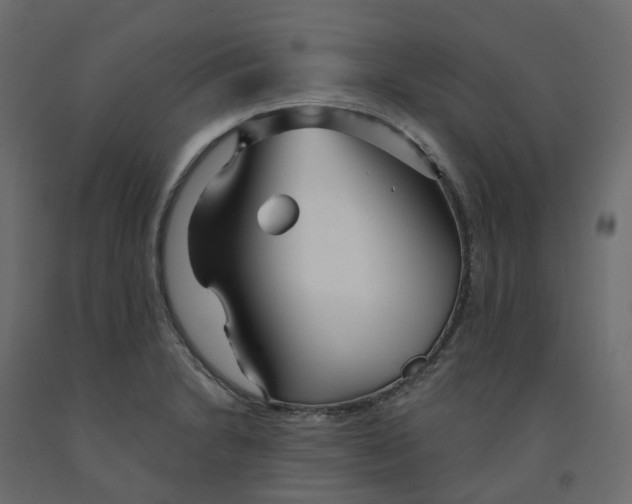 X0000091991230200710041123