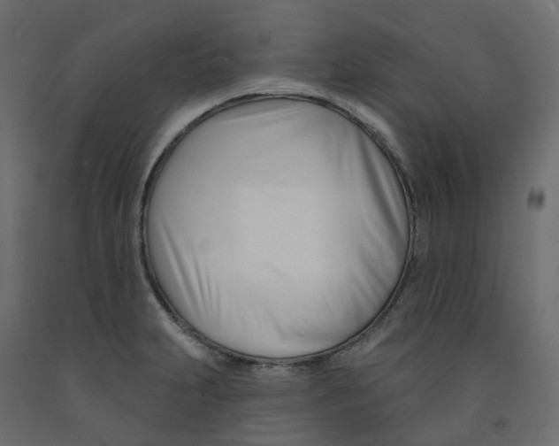 X0000091991231200710041123
