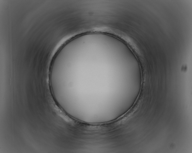 X0000091991232200710041123