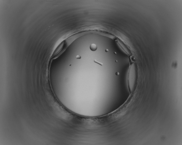 X0000091991234200710041123