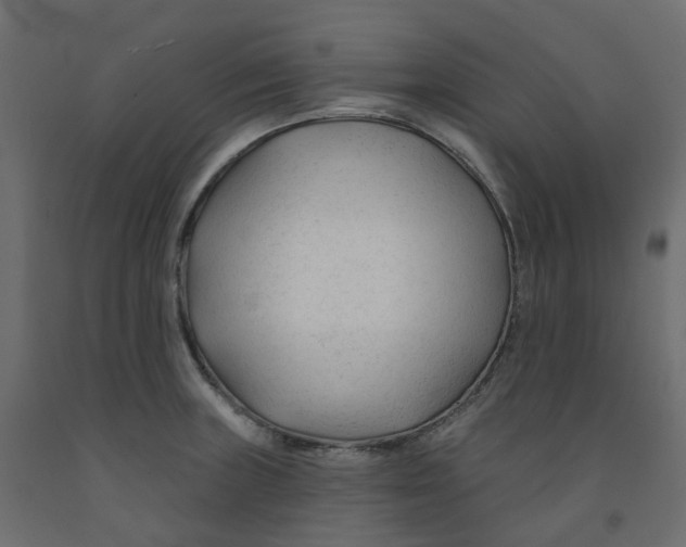 X0000091991235200710041123