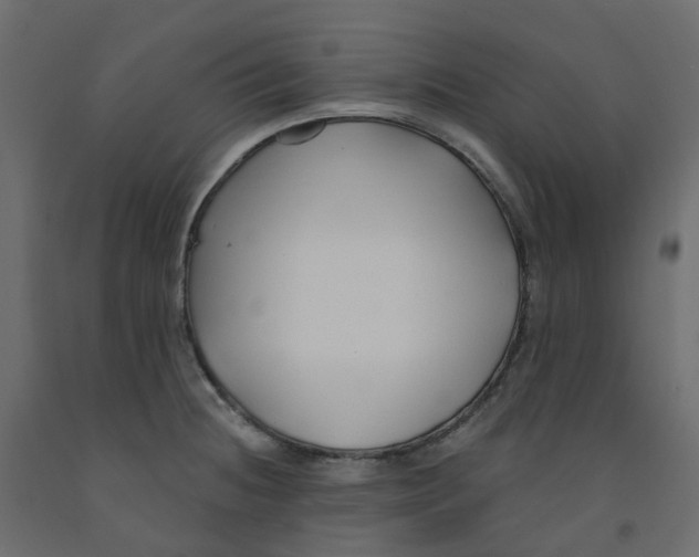 X0000091991236200710041124