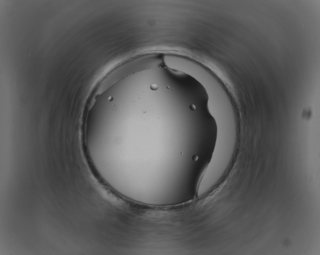 X0000091991237200710041124