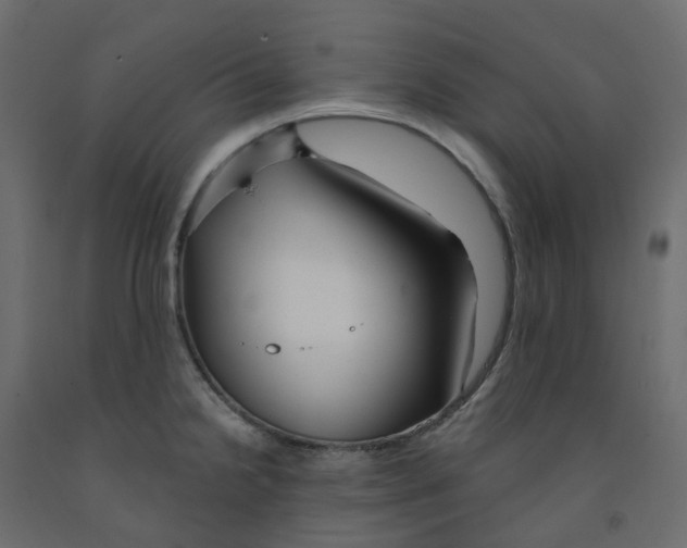 X0000091991238200710041124