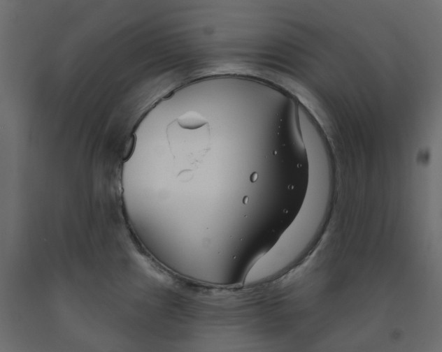 X0000091991241200710041124