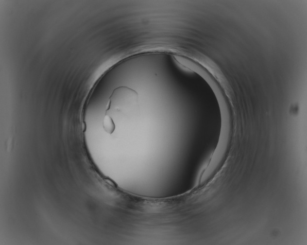 X0000091991242200710041124