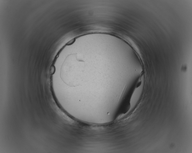 X0000091991243200710041124
