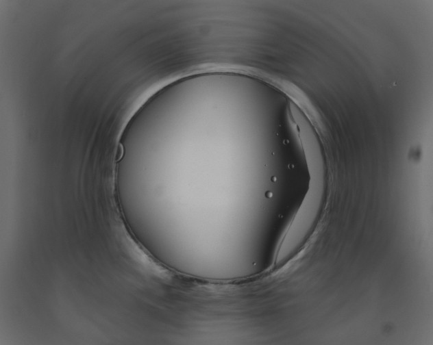 X0000091991244200710041124