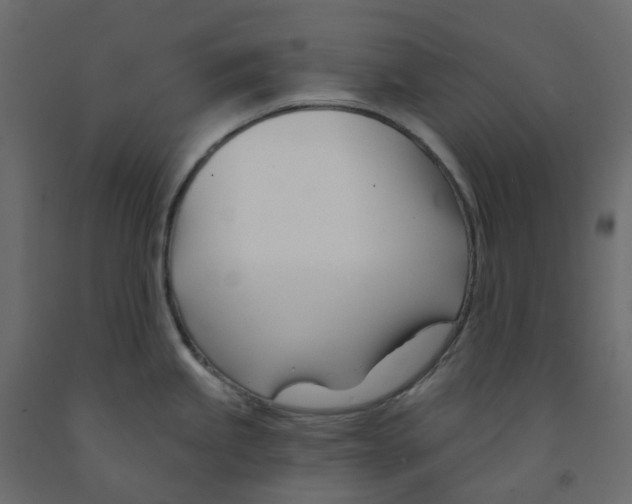 X0000091991245200710041124