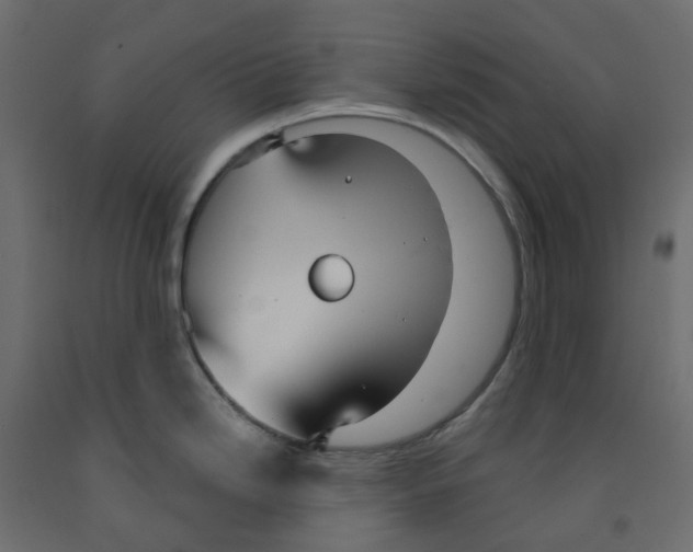 X0000091991246200710041124