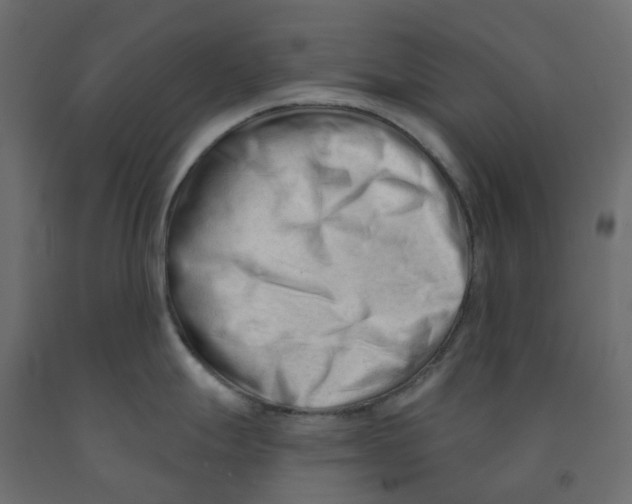 X0000091991247200710041124