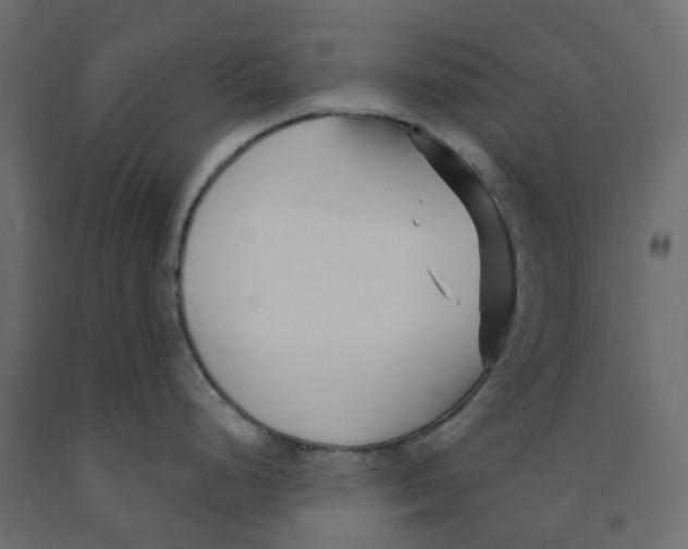 X0000091991248200710041124