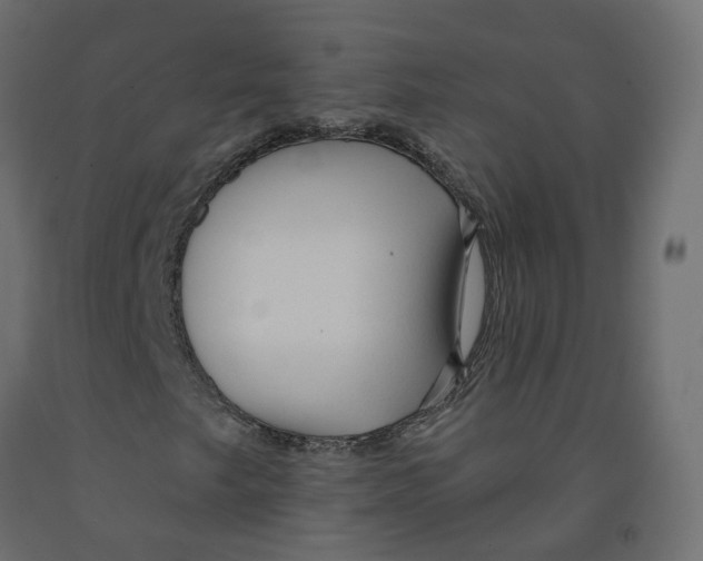 X0000091991249200710041123