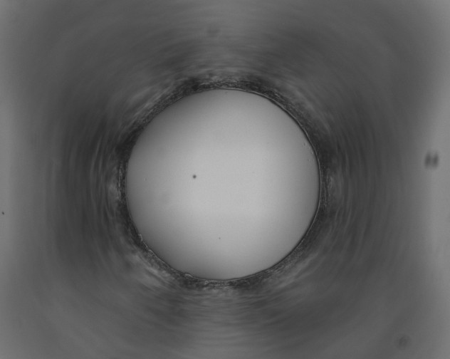 X0000091991250200710041123