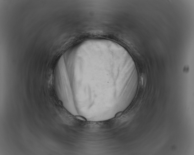 X0000091991251200710041123