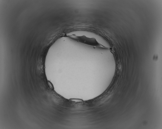 X0000091991252200710041123