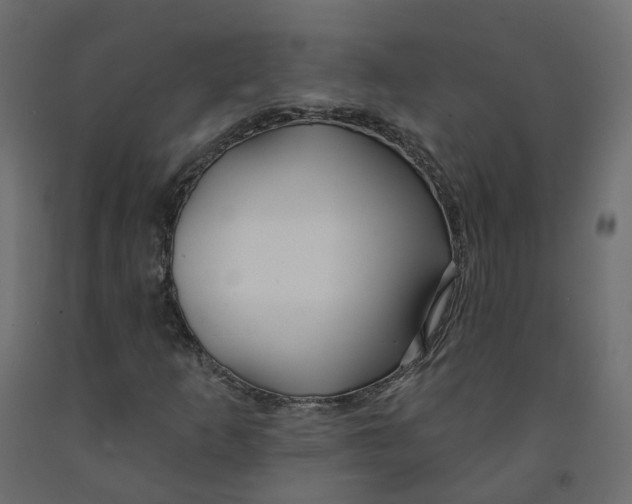 X0000091991253200710041123
