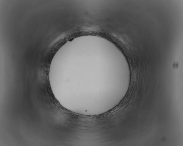 X0000091991254200710041123