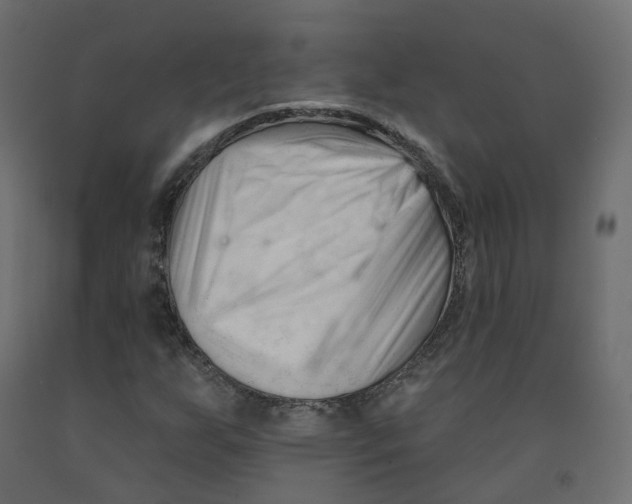 X0000091991255200710041123