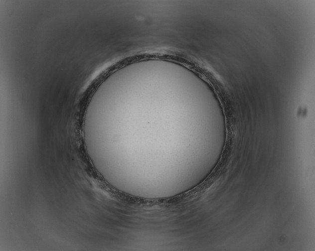 X0000091991256200710041123
