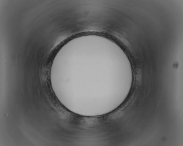 X0000091991258200710041123