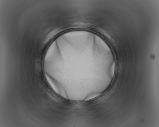 X0000091991259200710041123
