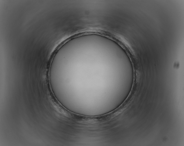 X0000091991260200710041123