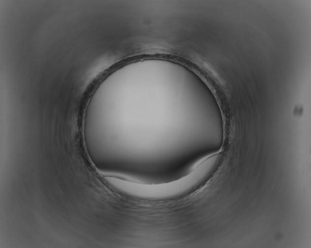 X0000091991261200710041123