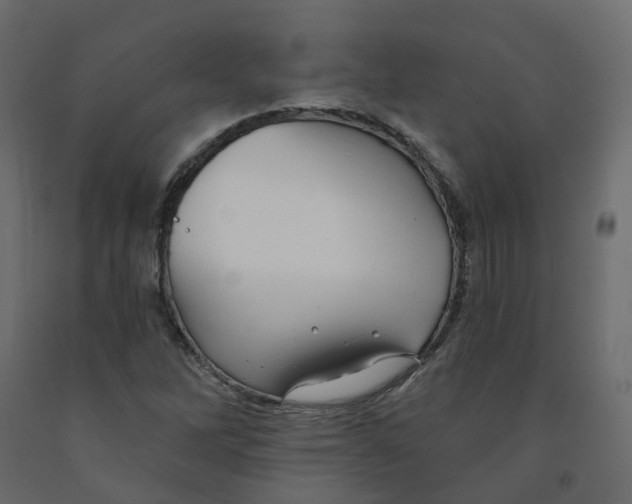 X0000091991262200710041123