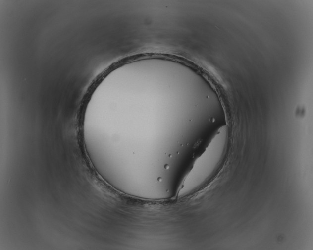 X0000091991264200710041123