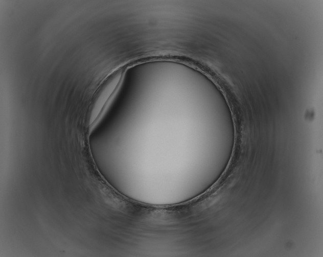 X0000091991265200710041123