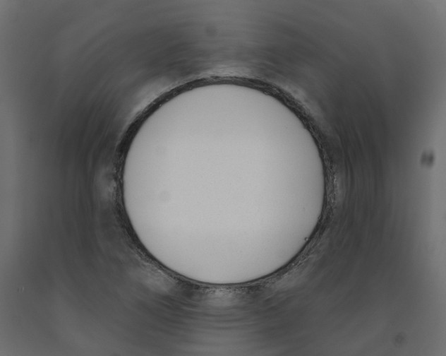 X0000091991266200710041123