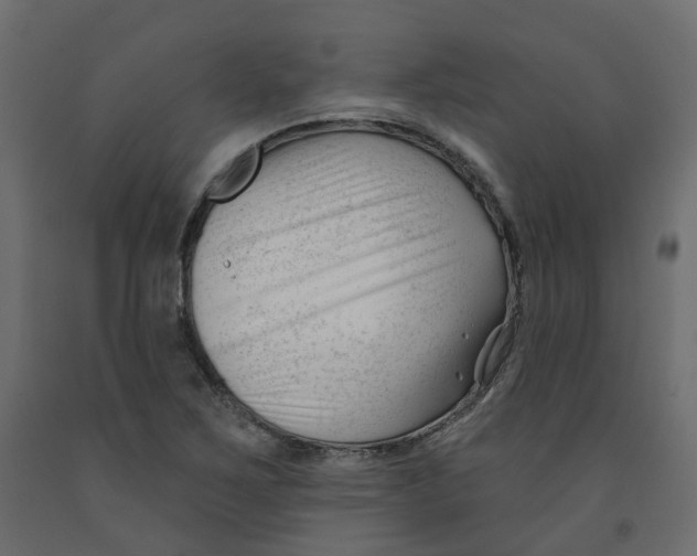 X0000091991267200710041123
