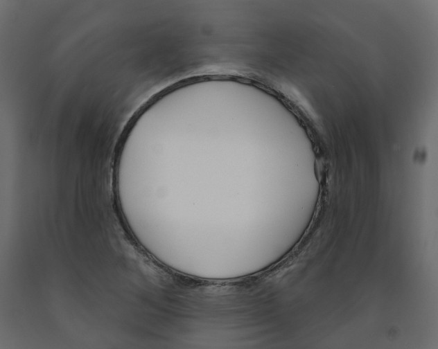 X0000091991268200710041123