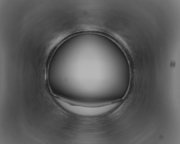 X0000091991269200710041123