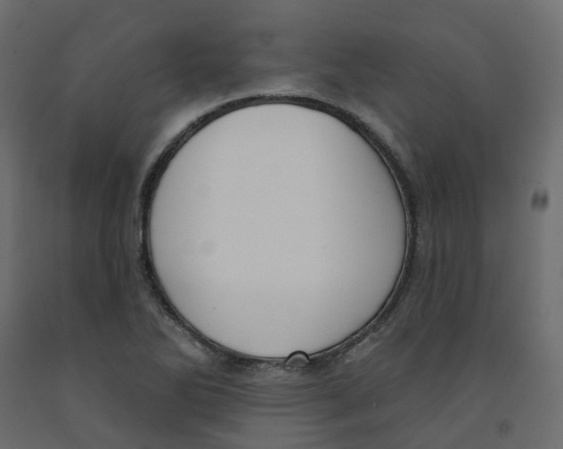 X0000091991270200710041123
