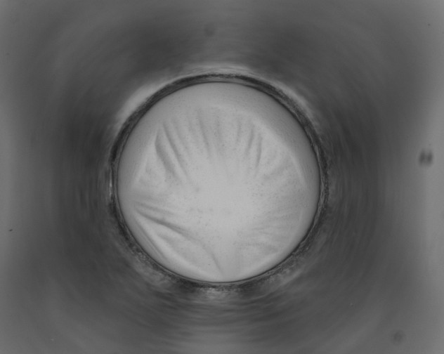 X0000091991271200710041123