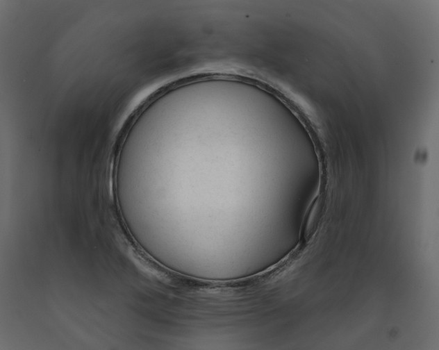 X0000091991272200710041123