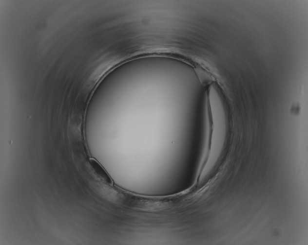 X0000091991273200710041123