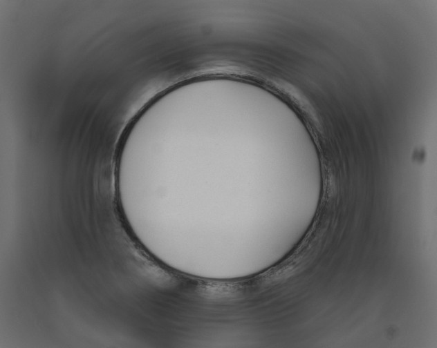 X0000091991274200710041123