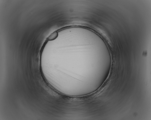 X0000091991275200710041123