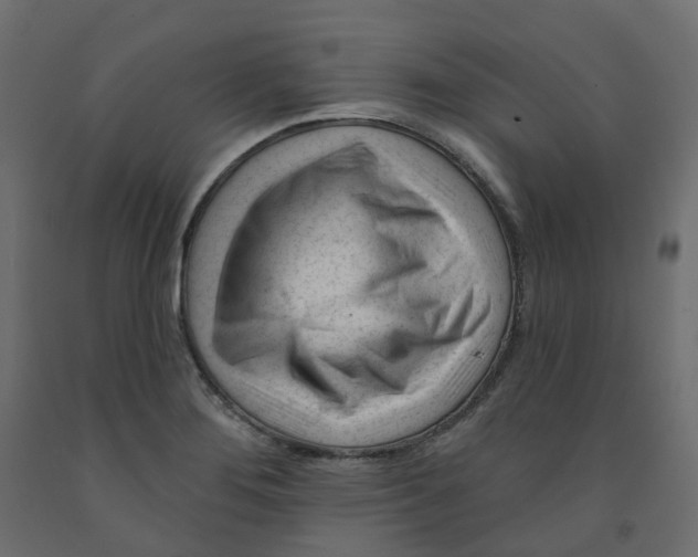 X0000091991276200710041123
