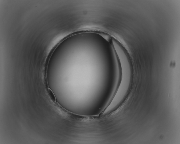 X0000091991277200710041123