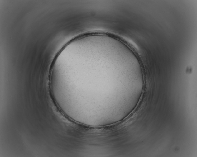 X0000091991279200710041123