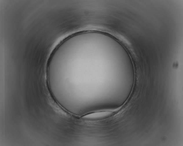 X0000091991280200710041123