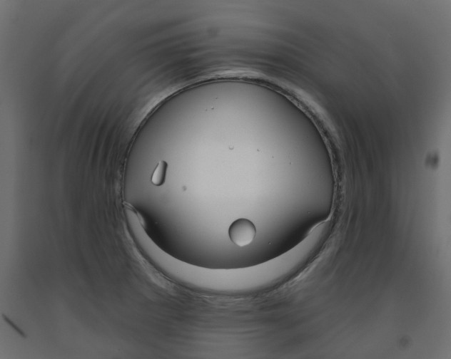 X0000091991281200710041123