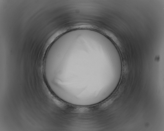 X0000091991282200710041123